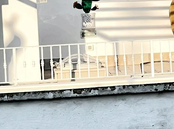 Nocleg ze śniadaniem Il Girasole 4*