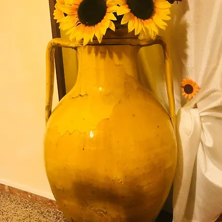 住宿加早餐酒店 Il Girasole 奥斯图尼
